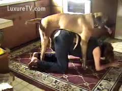 A dog removing a mature whore wearing crotchless pants from behind